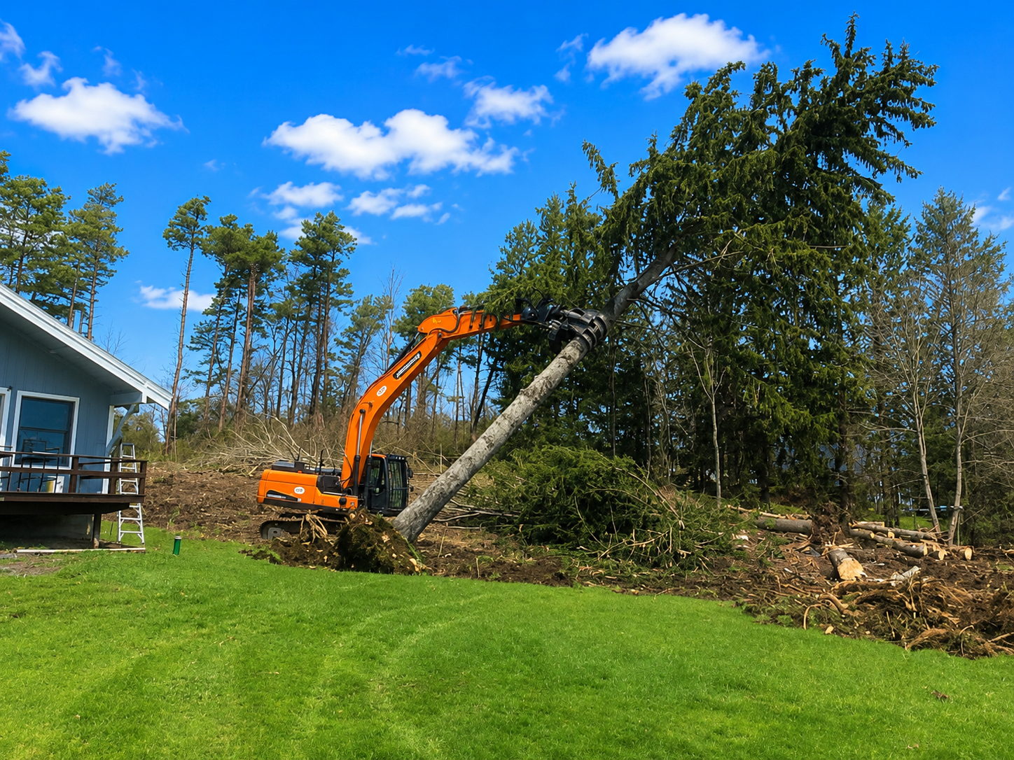 Excavator removing a large tree near a house